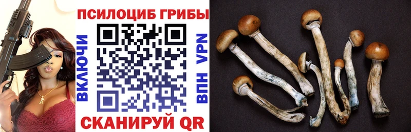 Галлюциногенные грибы ЛСД  Великие Луки 