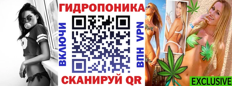 Канабис план Великие Луки